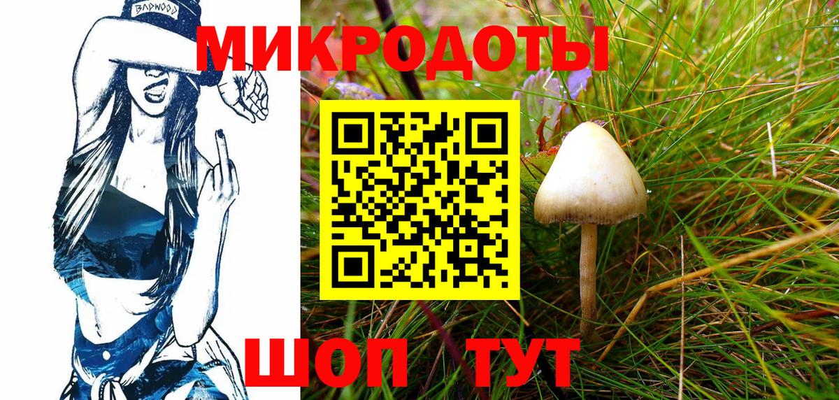 Галлюциногенные грибы Psilocybe Екатеринбург